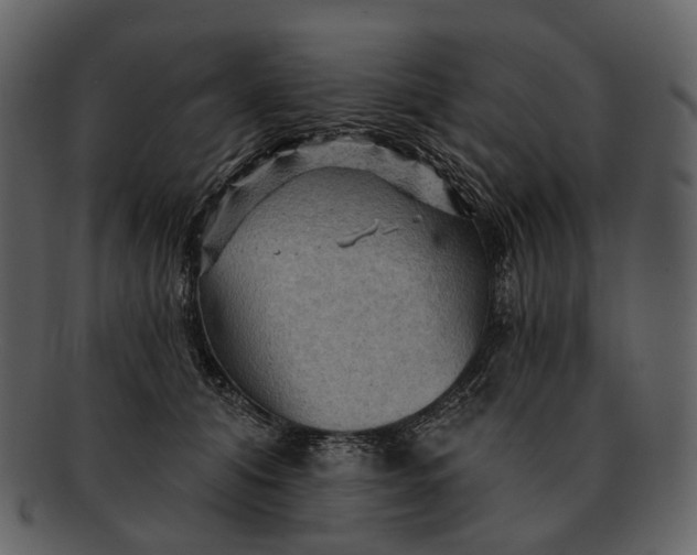 X0000093110608200710171224