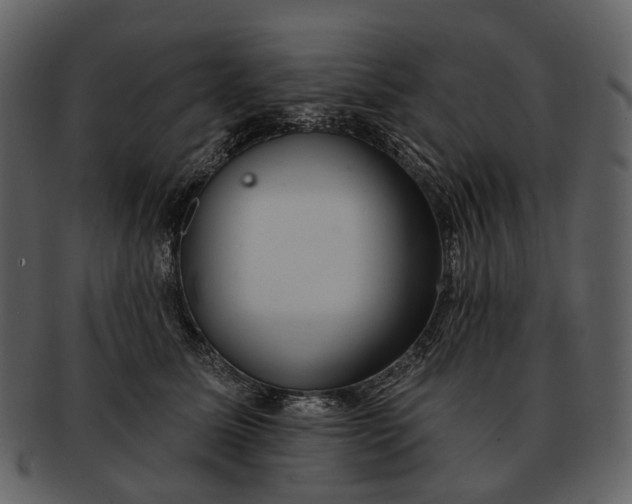 X0000093110611200710171224