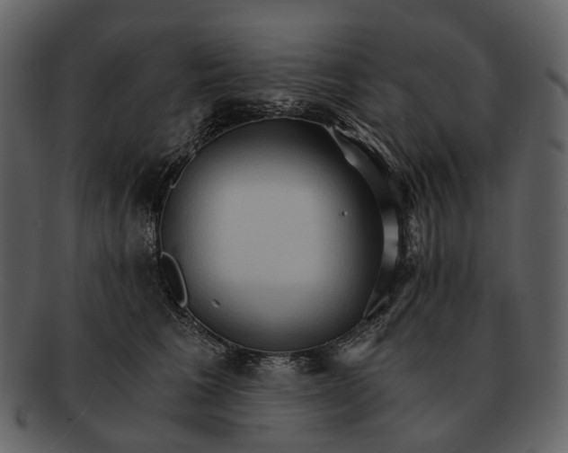 X0000093110613200710171224