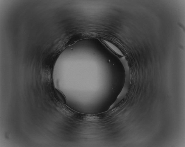 X0000093110617200710171224