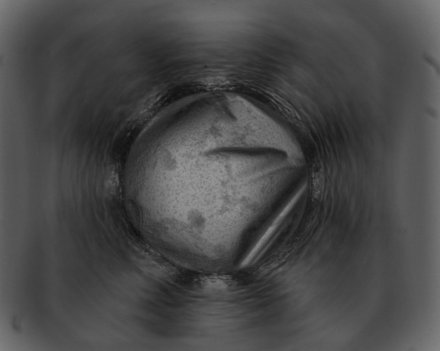 X0000093110618200710171224