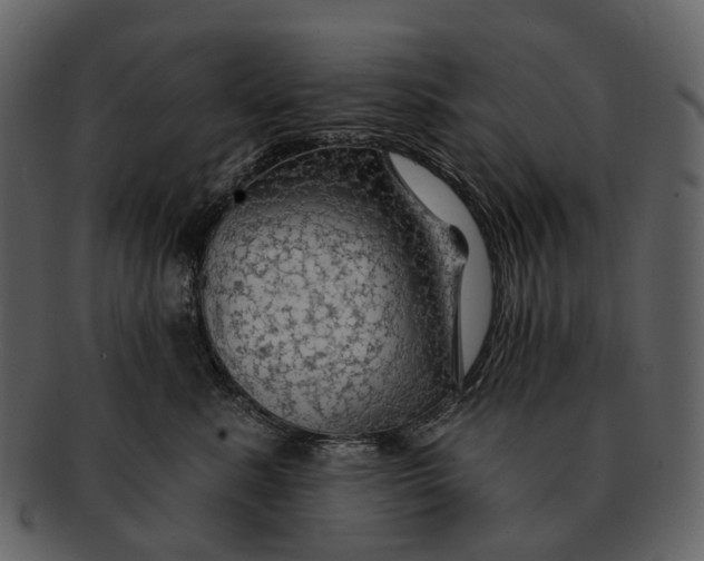 X0000093110619200710171224