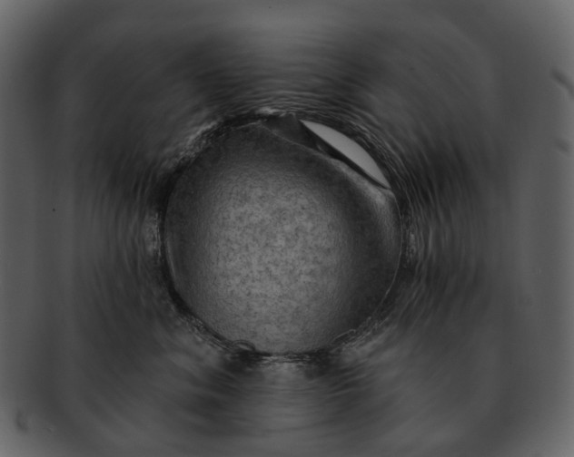 X0000093110620200710171224