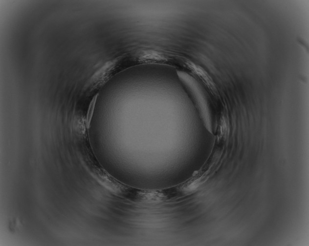 X0000093110621200710171224