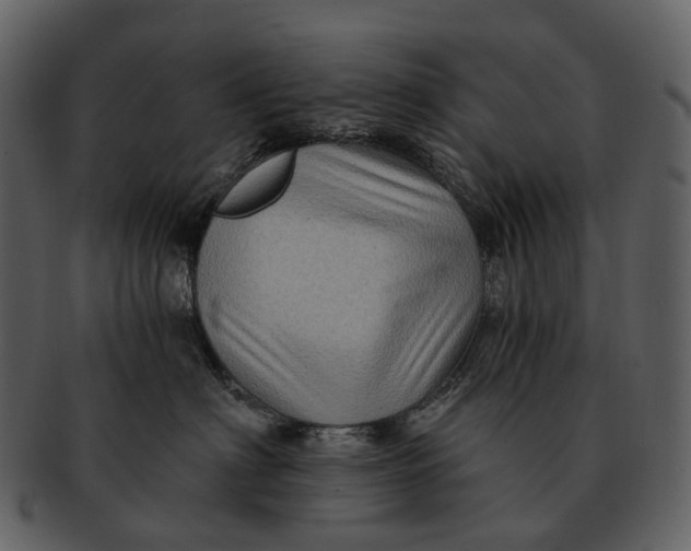 X0000093110622200710171224