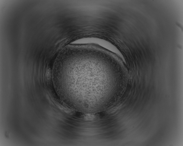 X0000093110623200710171224