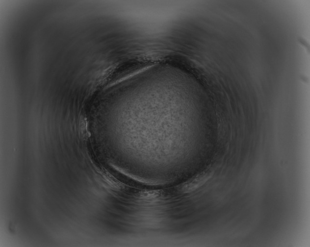 X0000093110624200710171224