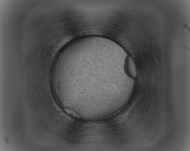 X0000093110625200710171223