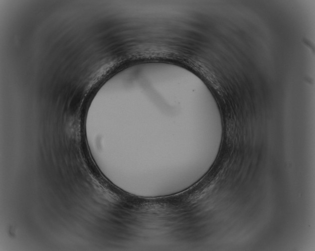 X0000093110629200710171223