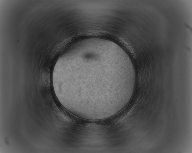 X0000093110633200710171223