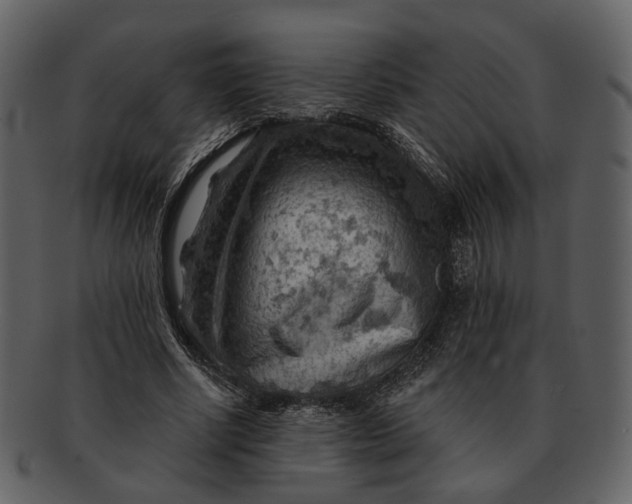 X0000093110634200710171223