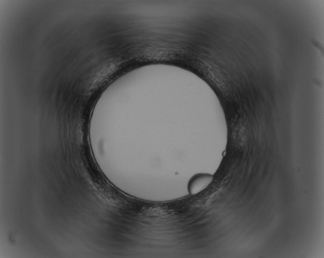 X0000093110635200710171223