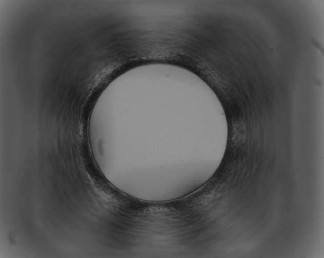 X0000093110636200710171223