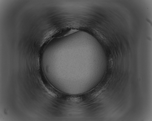 X0000093110638200710171223