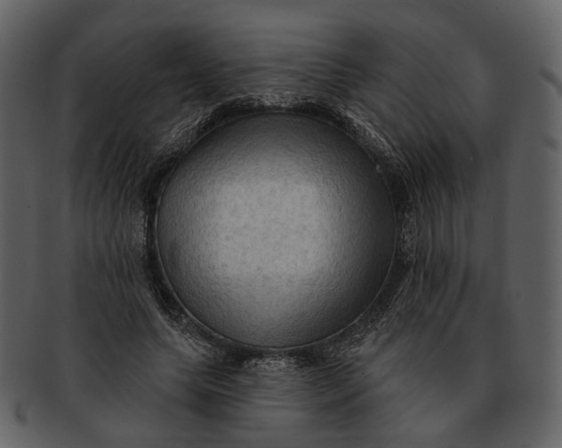 X0000093110639200710171223