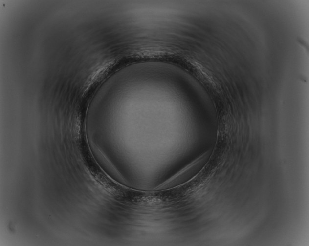 X0000093110640200710171223