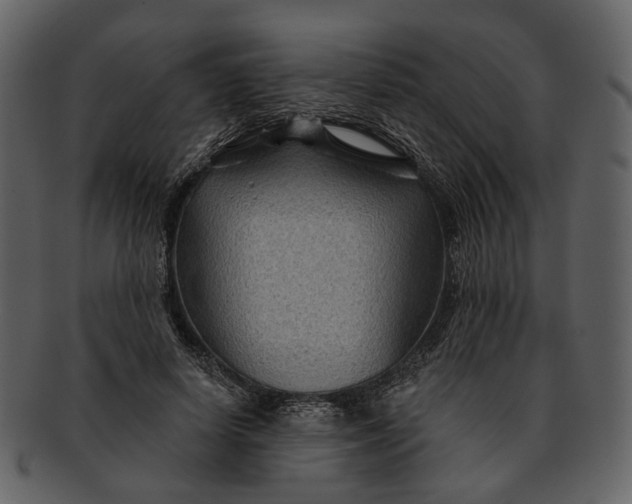 X0000093110642200710171223