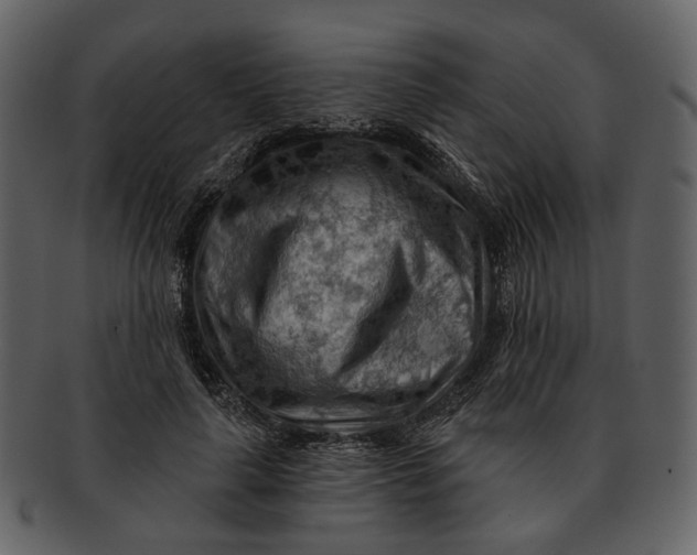 X0000093110643200710171224