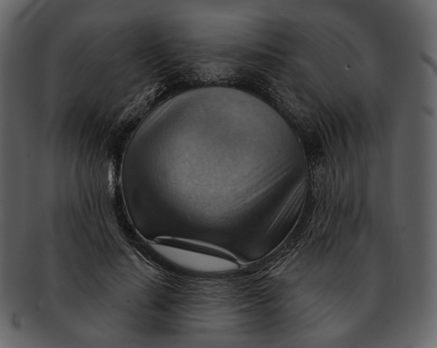 X0000093110644200710171224