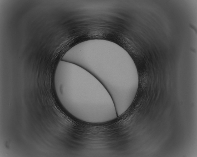 X0000093110645200710171224