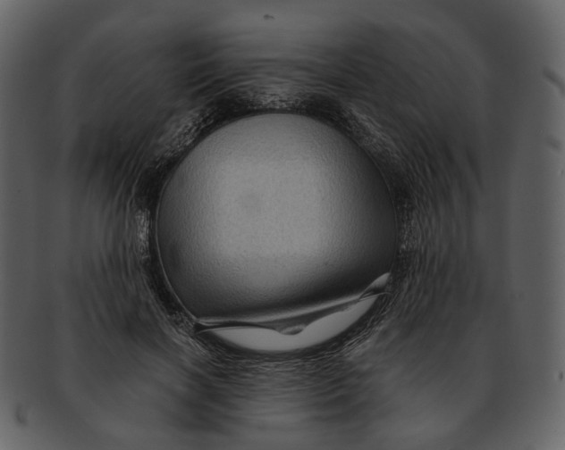 X0000093110646200710171224