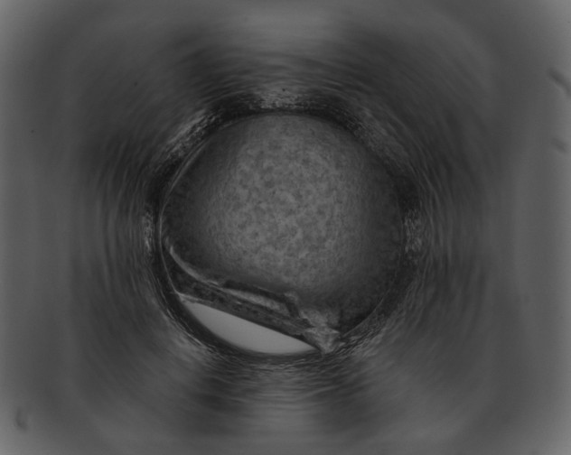 X0000093110648200710171224