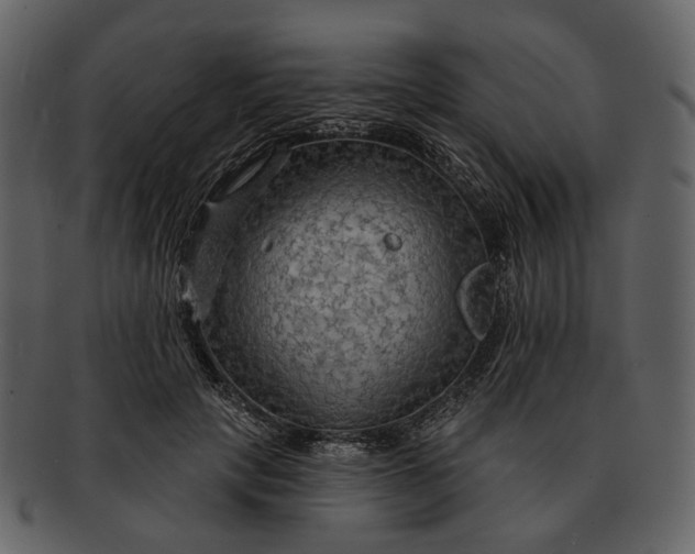 X0000093110649200710171224