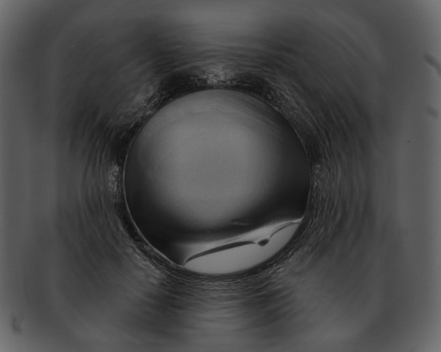 X0000093110650200710171224