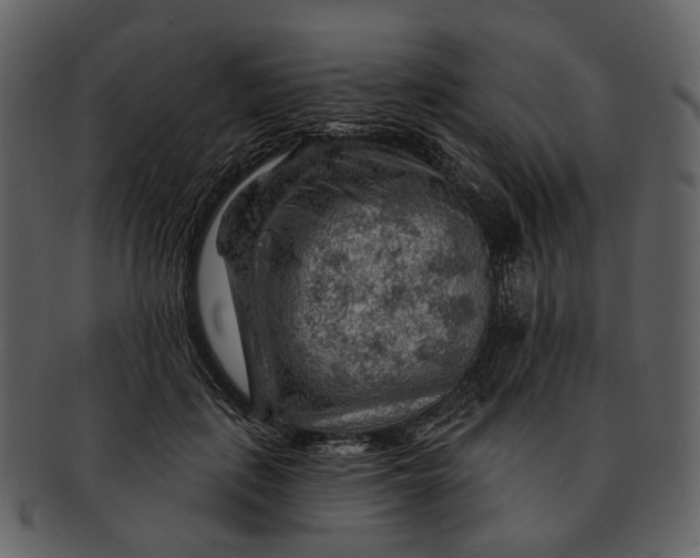 X0000093110651200710171224