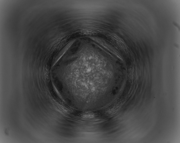 X0000093110653200710171224