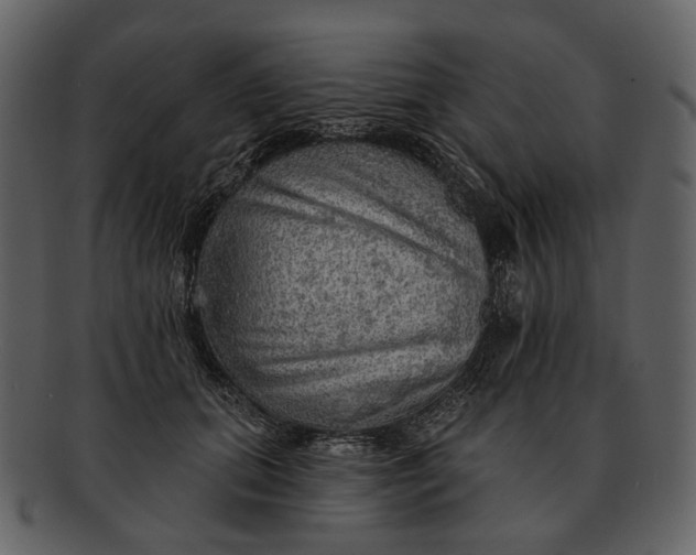 X0000093110655200710171224