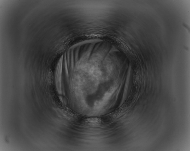 X0000093110659200710171224