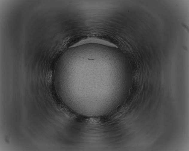 X0000093110660200710171224