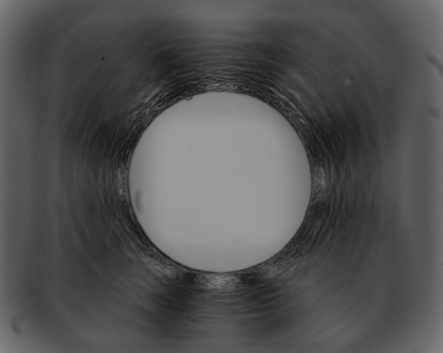 X0000093110663200710171224