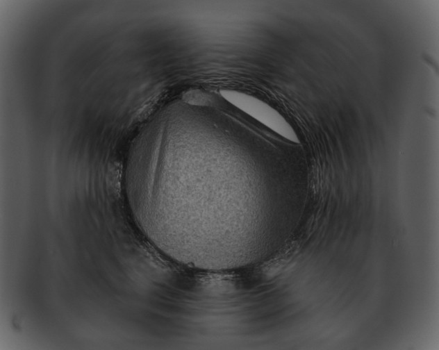 X0000093110664200710171224