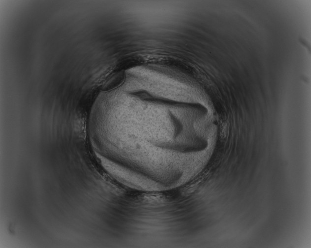 X0000093110666200710171224