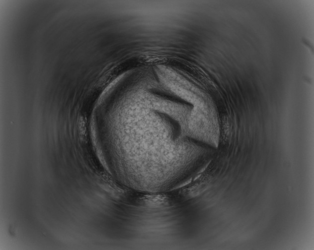 X0000093110667200710171224