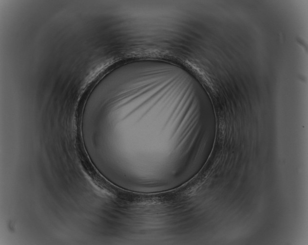 X0000093110674200710171223