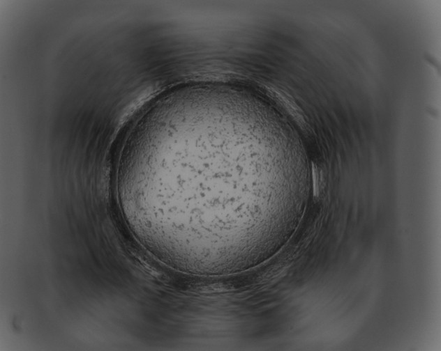 X0000093110675200710171223