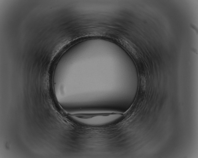 X0000093110676200710171223