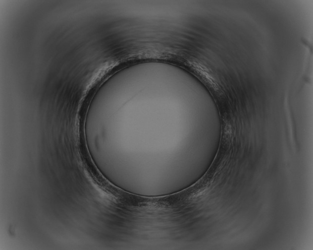 X0000093110678200710171223