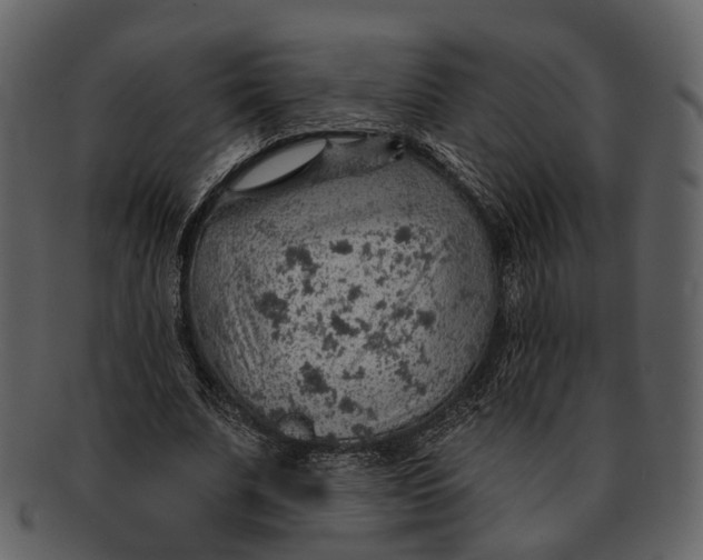 X0000093110679200710171223