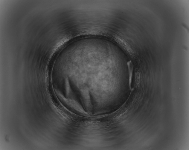 X0000093110680200710171223