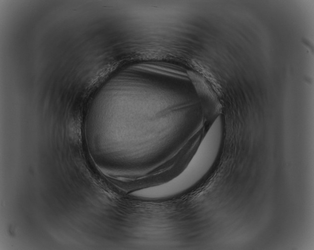 X0000093110681200710171223