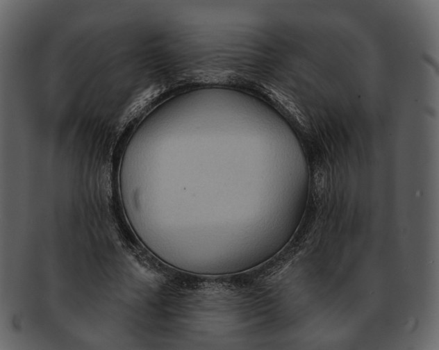 X0000093110682200710171223