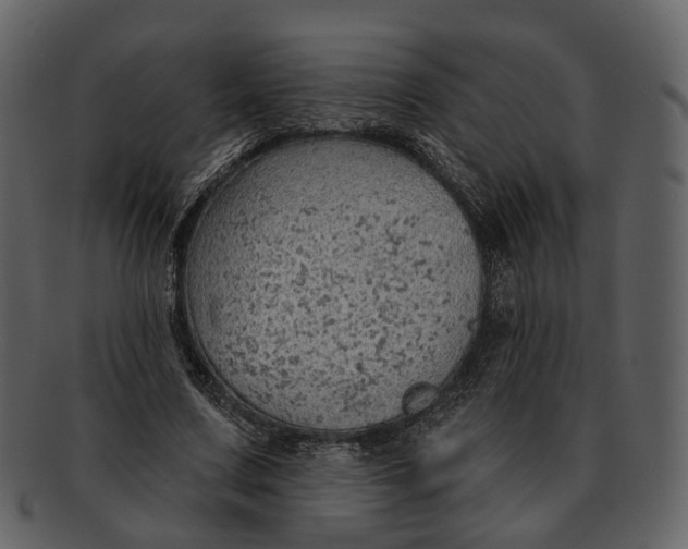 X0000093110683200710171223