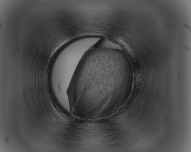 X0000093110684200710171223