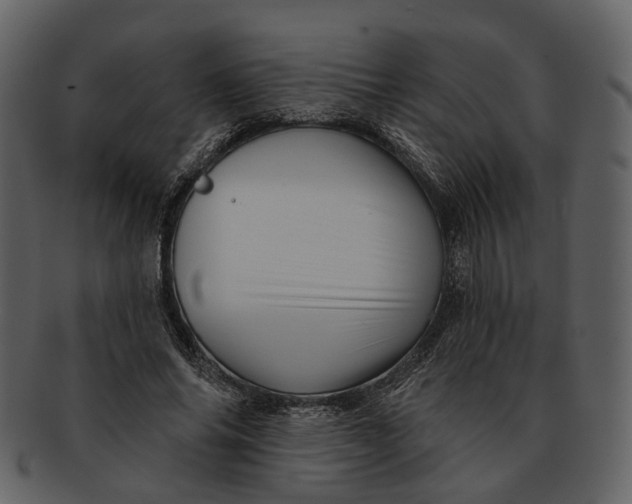 X0000093110686200710171223