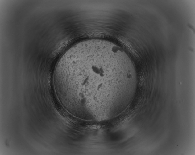 X0000093110687200710171223