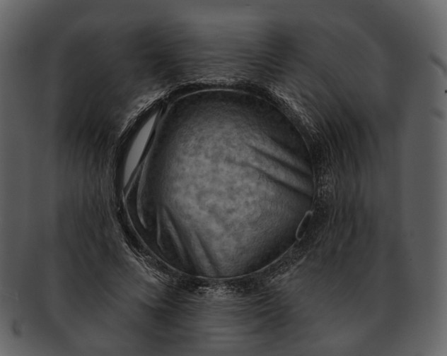 X0000093110688200710171223